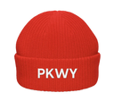 The MARVIN - PKWY Beanie (Infrared)