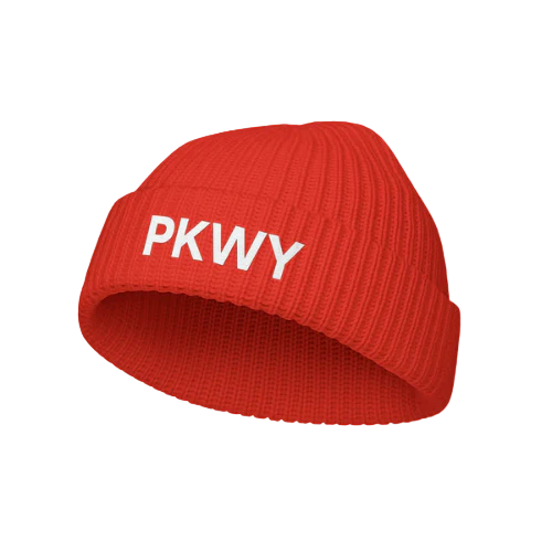 The MARVIN - PKWY Beanie (Infrared)